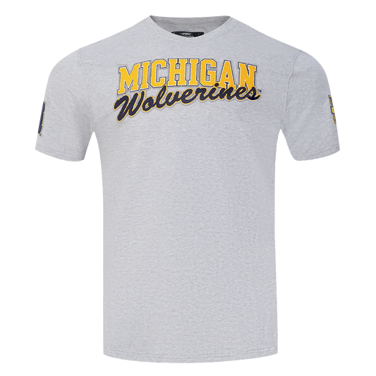 Michigan Wolverines Gray Pro Standard Wordmark Sleeve Hits T-Shirt - Front View