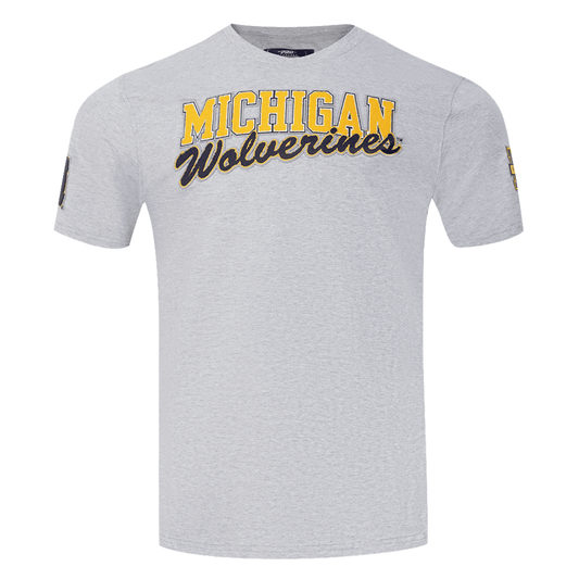 Michigan Wolverines Gray Pro Standard Wordmark Sleeve Hits T-Shirt - Front View