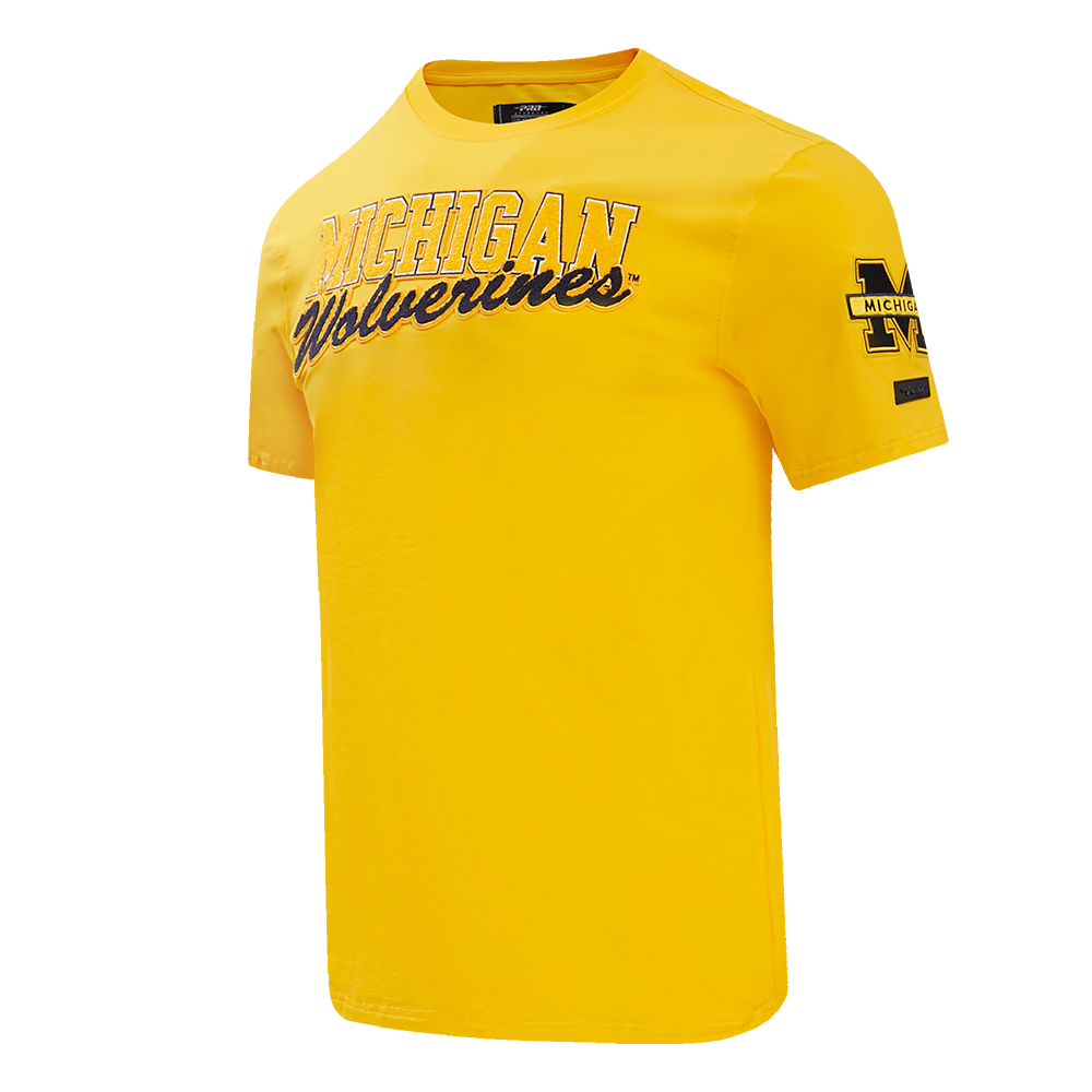 Michigan Wolverines Pro Standard T-Shirt - Front Angled View