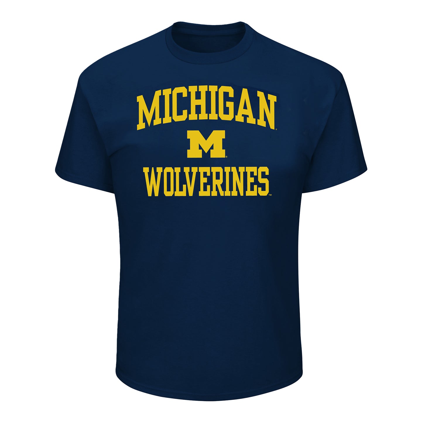 Michigan Wolverines Profile Blue Big & Tall Arch Wordmark T-Shirt - Front View