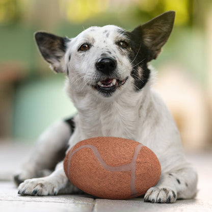 Michigan Wolverines Chewer Football Pet Toy - Alternate Pet View