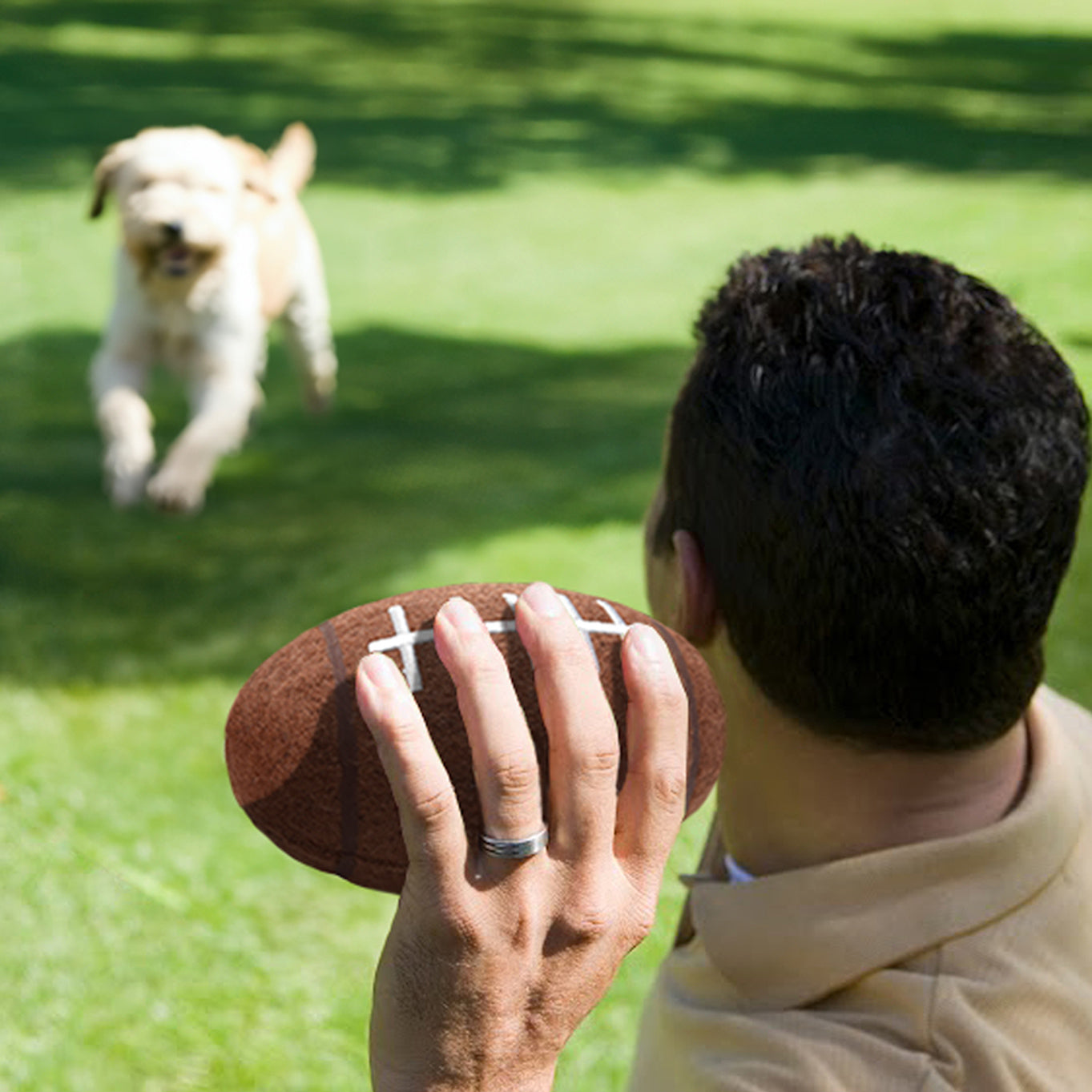 Michigan Wolverines Chewer Football Pet Toy - Model View