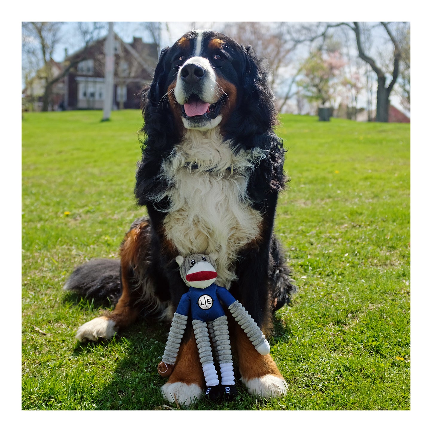 Michigan Wolverines Sock Monkey Pet Toy - Model View