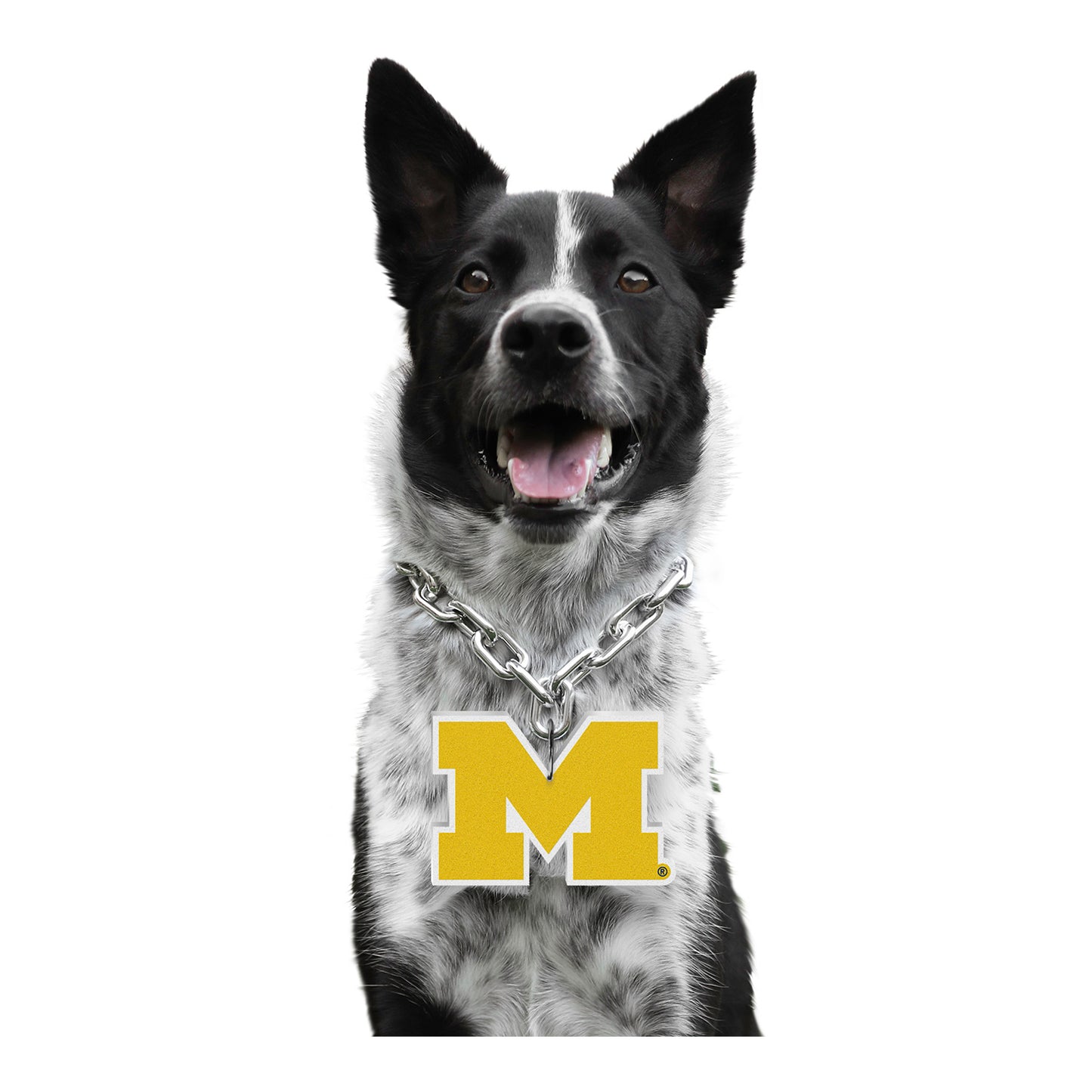 Michigan Wolverines Pet Fan Chain - Model View