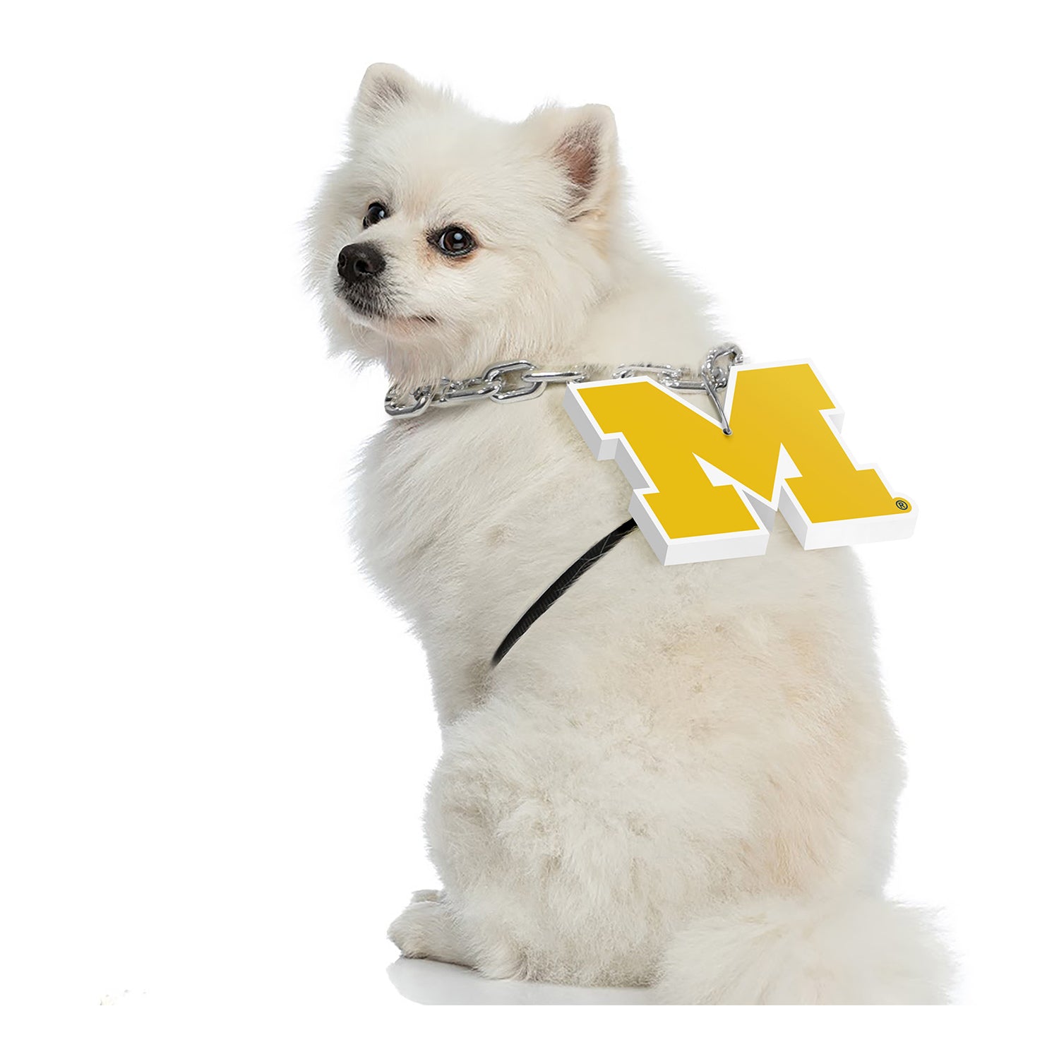 Michigan Wolverines Pet Fan Chain - Alternate Model View