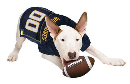 Michigan Wolverines Mesh Pet Jersey - Alternate Model View