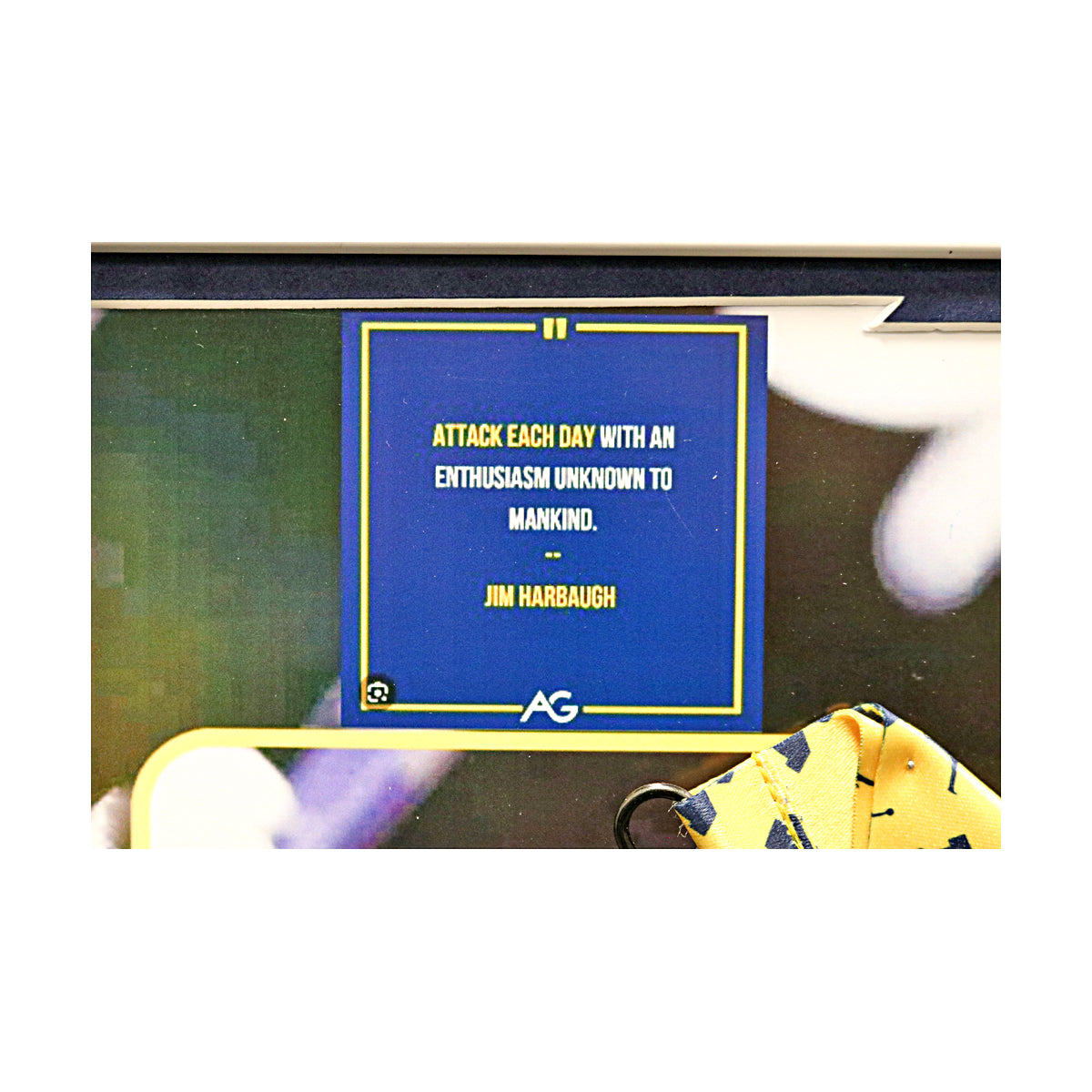Jim Harbaugh Michigan Wolverines Autographed Signed 2023 Credential Pass 20" x 24" Framed Collage In Frame - Quote View