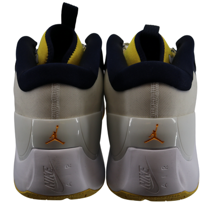 Nike Air Jordan Zoom Separate Michigan Wolverines P White