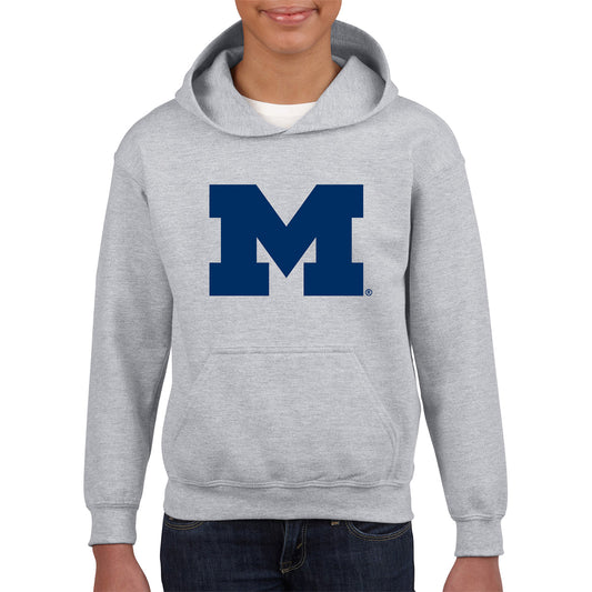 Michigan Wolverines Youth Gray M Logo Hoodie - Front View