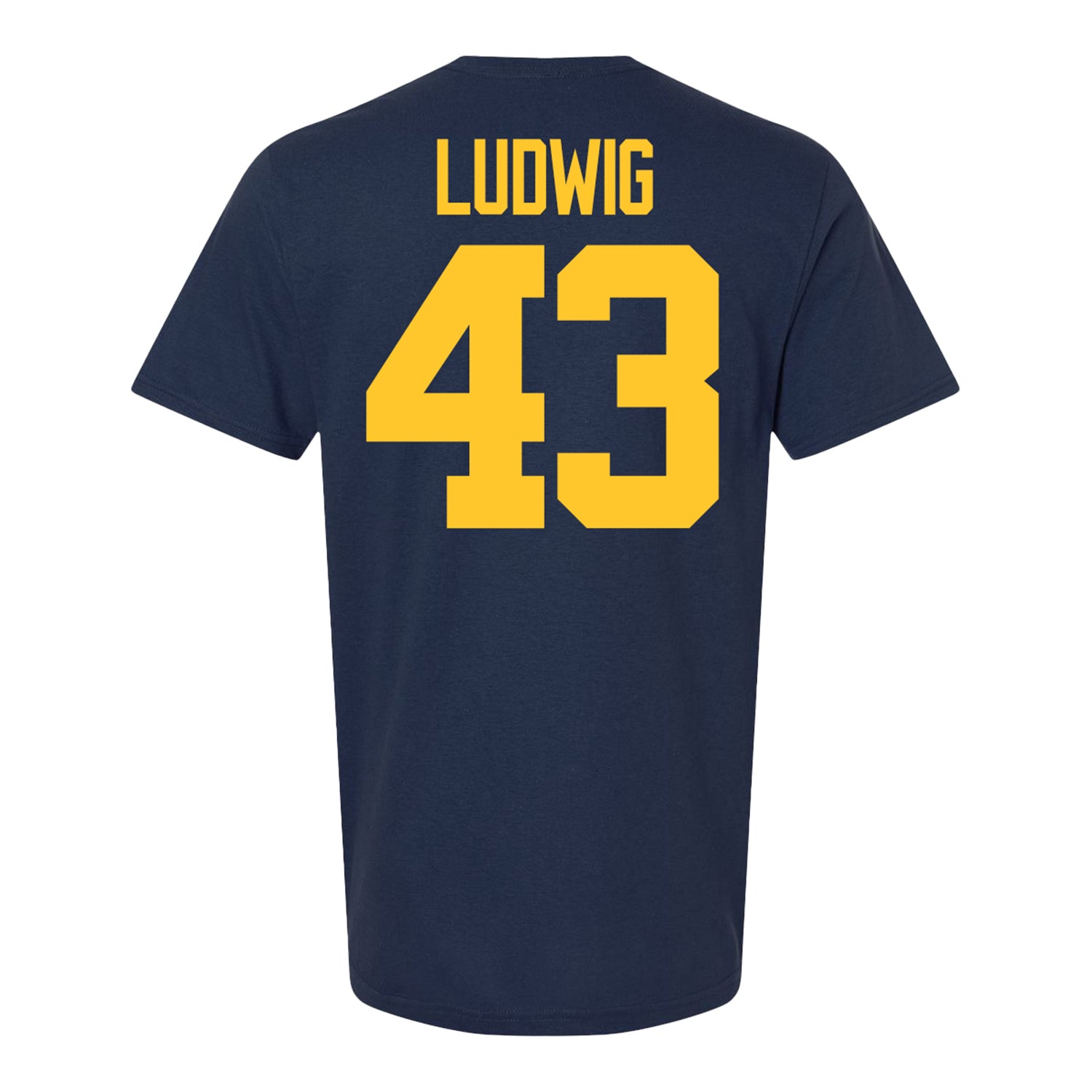 Michigan Wolverines #43 Zach Ludwig Student Athlete Blue Football T-Shirt - Back View