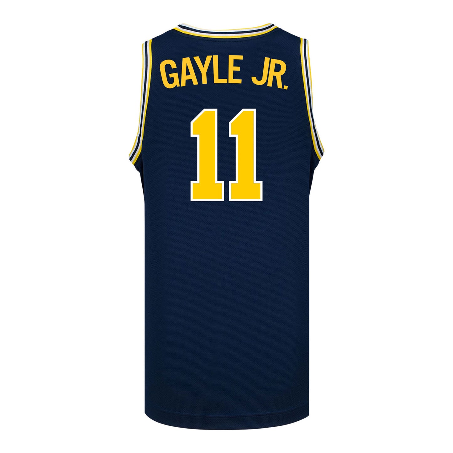 Michigan Wolverines #11 Roddy Gayle Student Athlete Blue Basketball Jersey - Back View