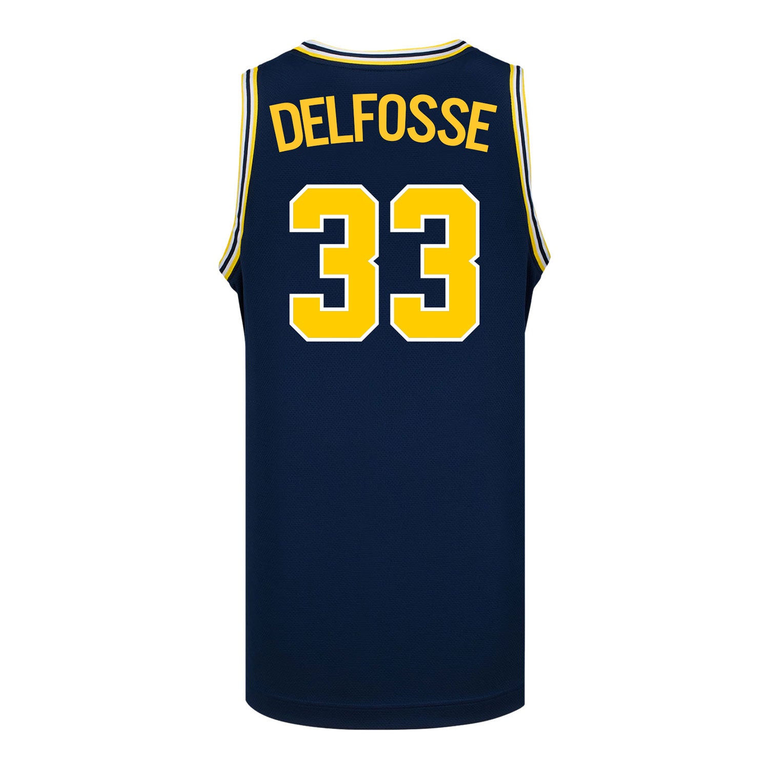 Michigan Wolverines #33 Te'Yala Delfosse Student Athlete Blue Women's Basketball Jersey - Back View