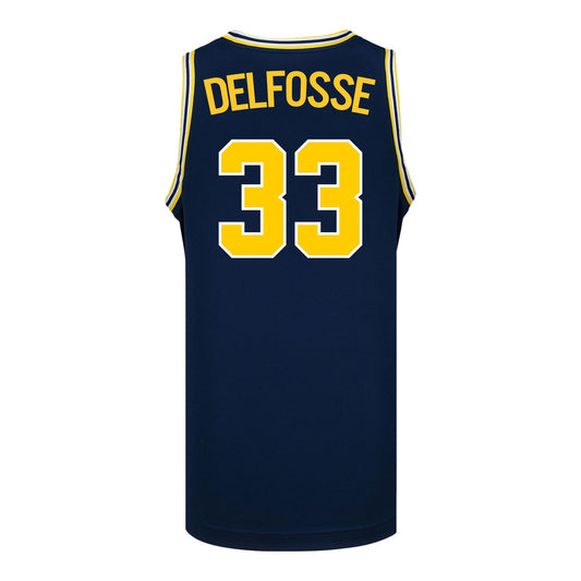 Michigan Wolverines #33 Te'Yala Delfosse Student Athlete Blue Women's Basketball Jersey - Back View