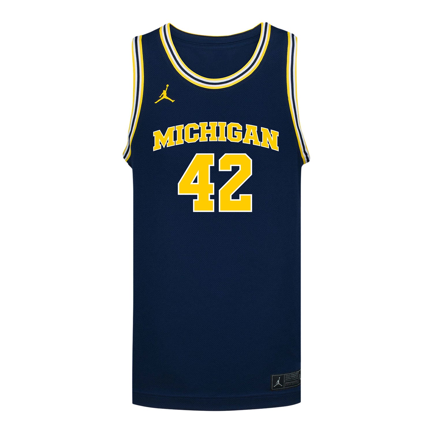 Michigan Wolverines #42 Will Tschetter Student Athlete Blue Basketball Jersey In Blue - Back View