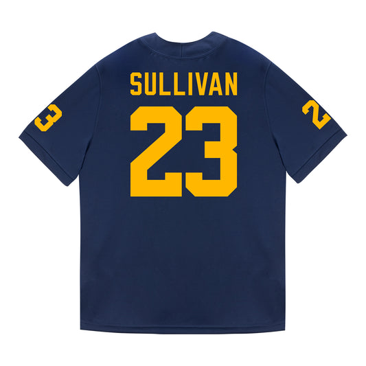 Michigan Wolverines #23 Cole Sullivan Student Athlete Blue Football Jersey - Back View
