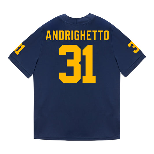 Michigan Wolverines #31 Nico Andrighetto Student Athlete Blue Football Jersey - Back View