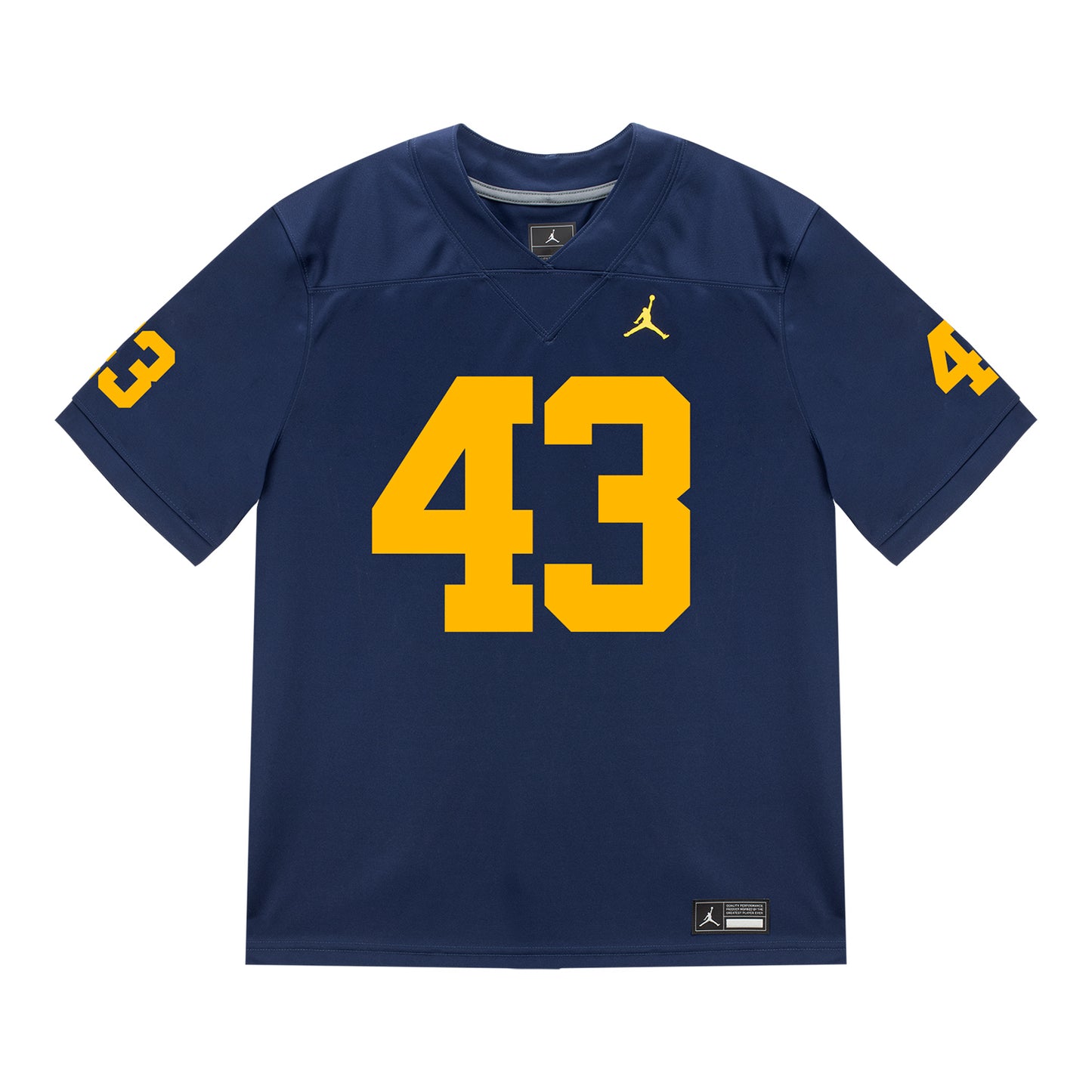 Michigan Wolverines #43 Zach Ludwig Student Athlete Blue Football Jersey - Front View