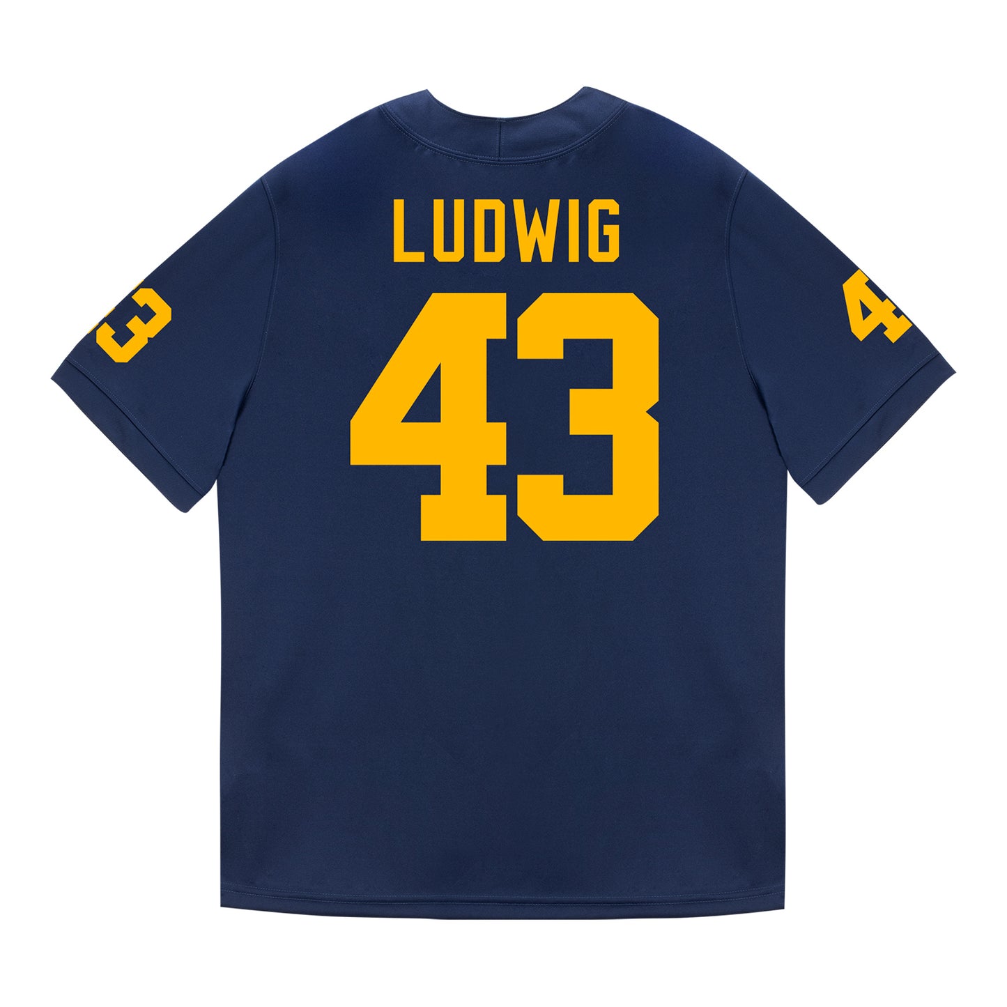 Michigan Wolverines #43 Zach Ludwig Student Athlete Blue Football Jersey - Back View