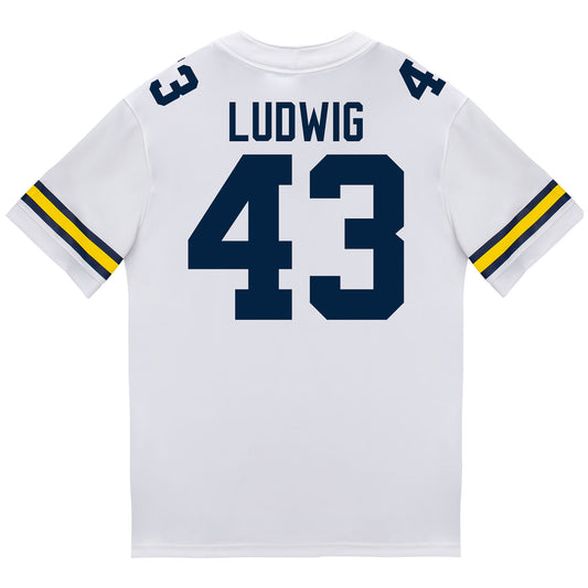 Michigan Wolverines #43 Zach Ludwig Student Athlete White Football Jersey - Back View