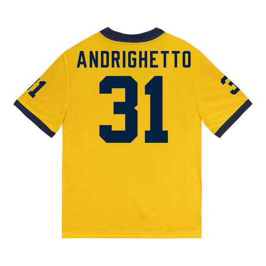 Michigan Wolverines #31 Nico Andrighetto Student Athlete Maize Football Jersey - Back View