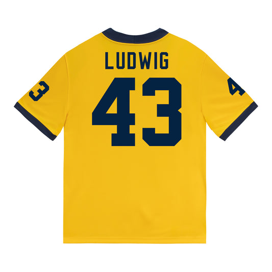 Michigan Wolverines #43 Zach Ludwig Student Athlete Maize Football Jersey - Back View