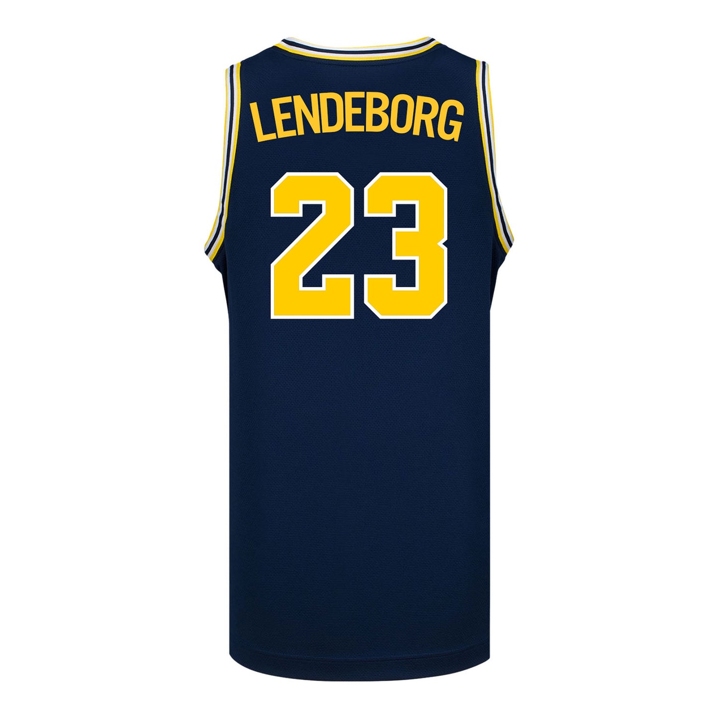Michigan Wolverines #23 Yaxel Lendeborg Student Athlete Blue Basketball Jersey - Back View