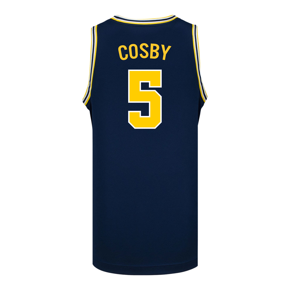 Michigan Wolverines #5 Lincoln Cosby Student Athlete Blue Basketball Jersey