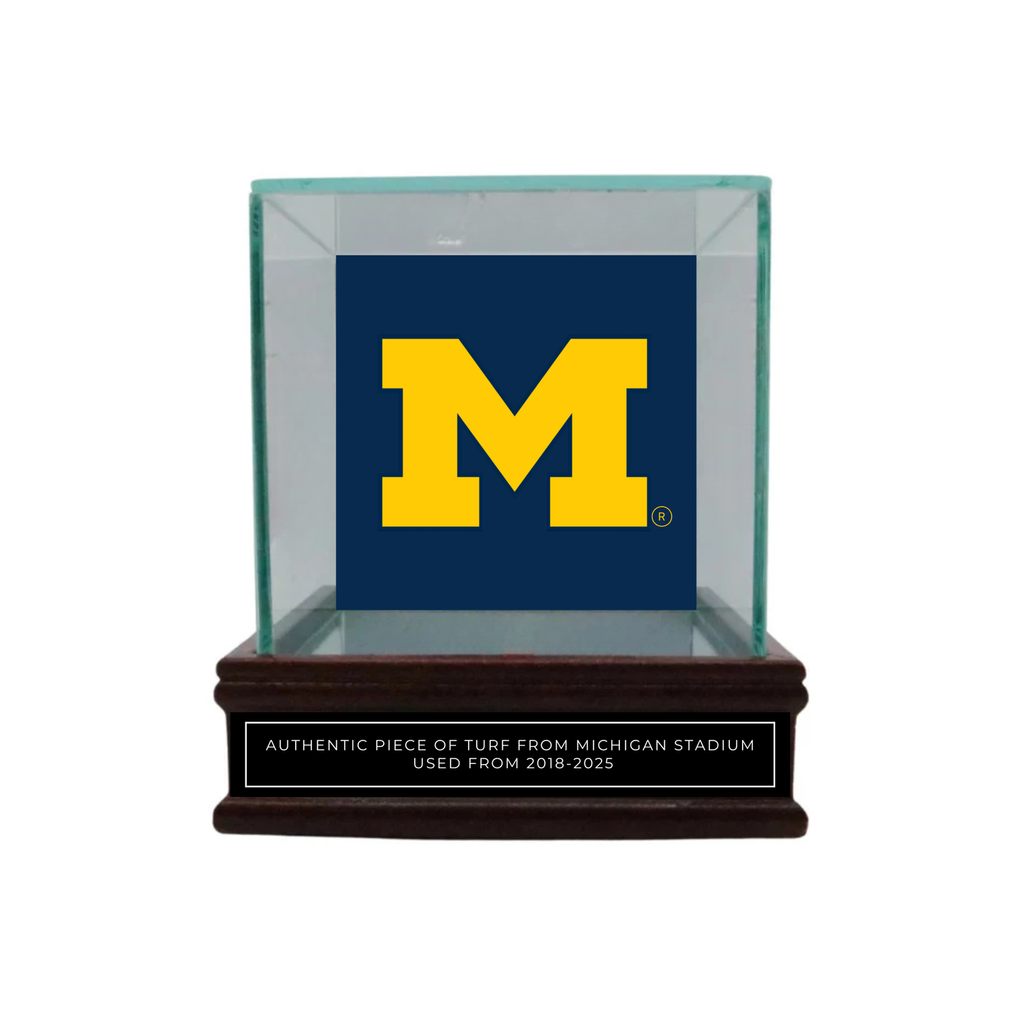 University of Michigan Authentic Piece of Michigan Stadium Turf with Case