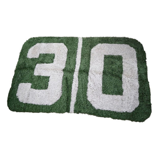 Michigan Big House Official 30 Yard Marker 8'x15' ft Turf Cutout